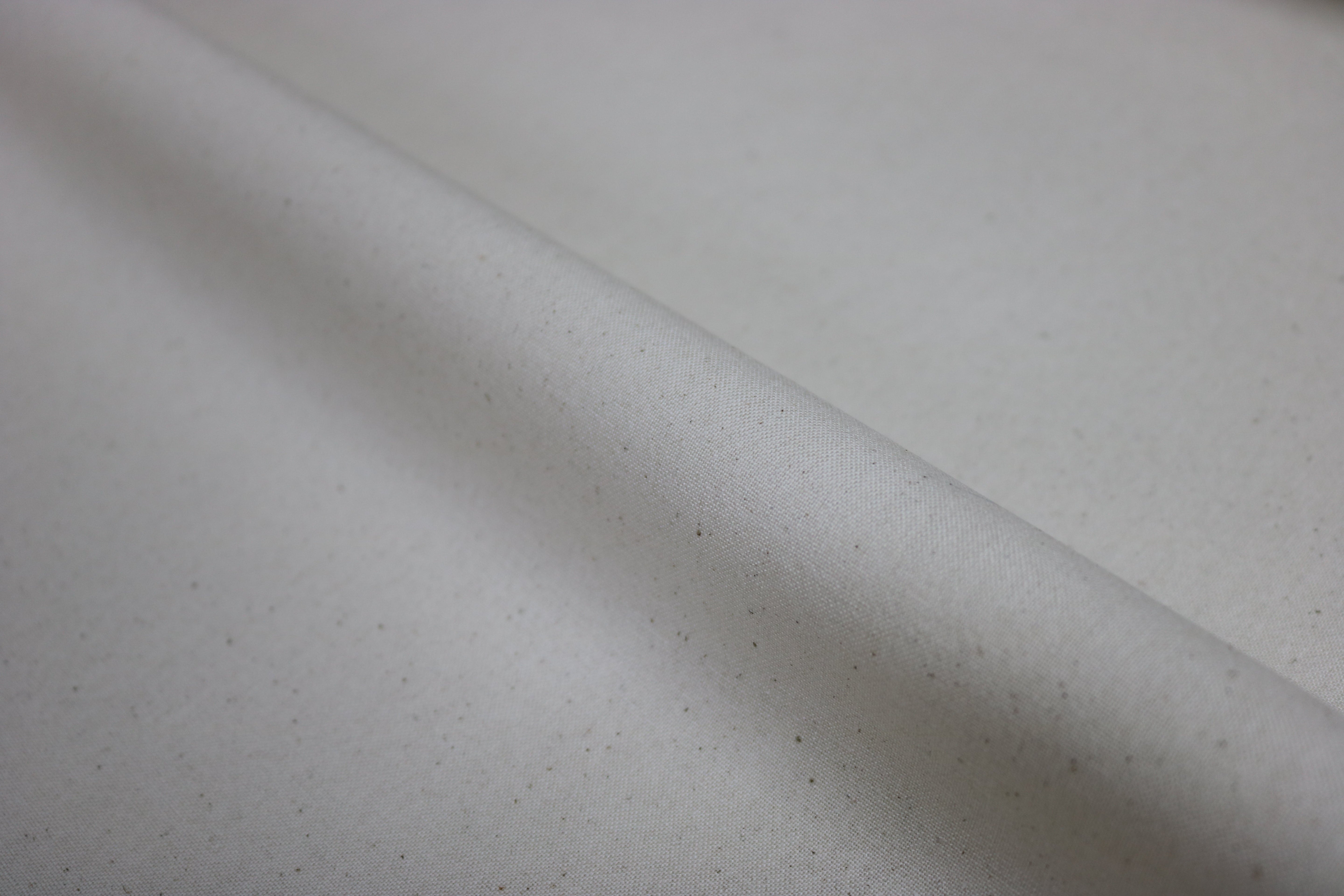 十番天竺とは？特徴や魅力をプロがわかりやすく解説！